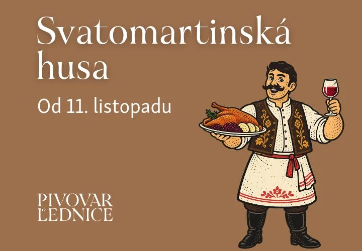 Svatomartinský husa